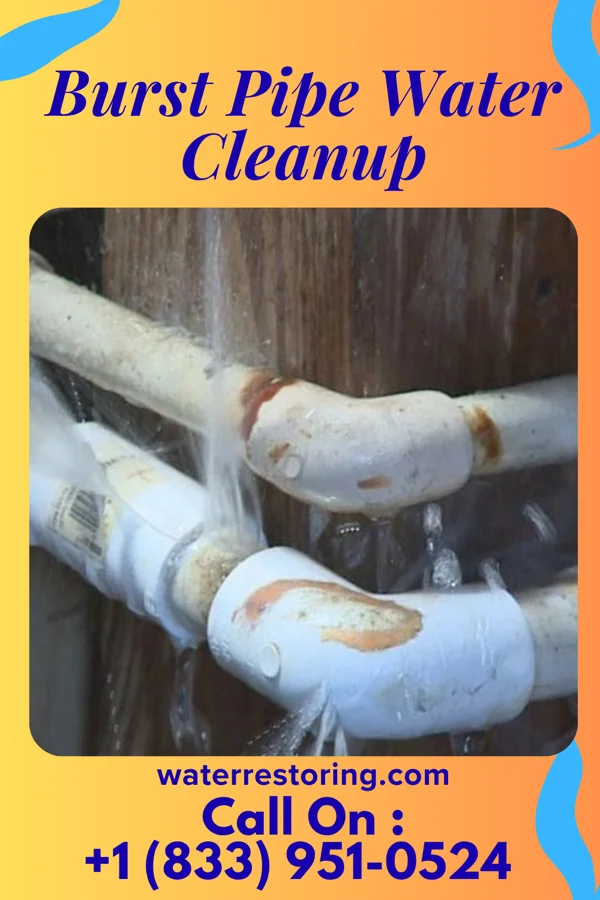 Burst Pipe Water Cleanup in Newburgh, IN