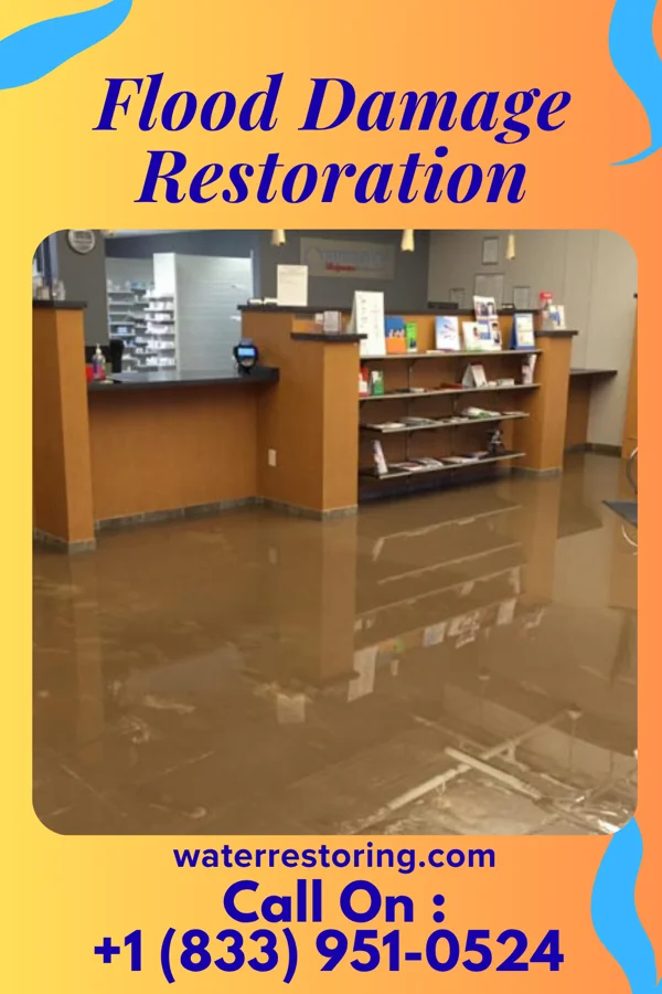 Flood Damage Restoration in Newburgh, IN