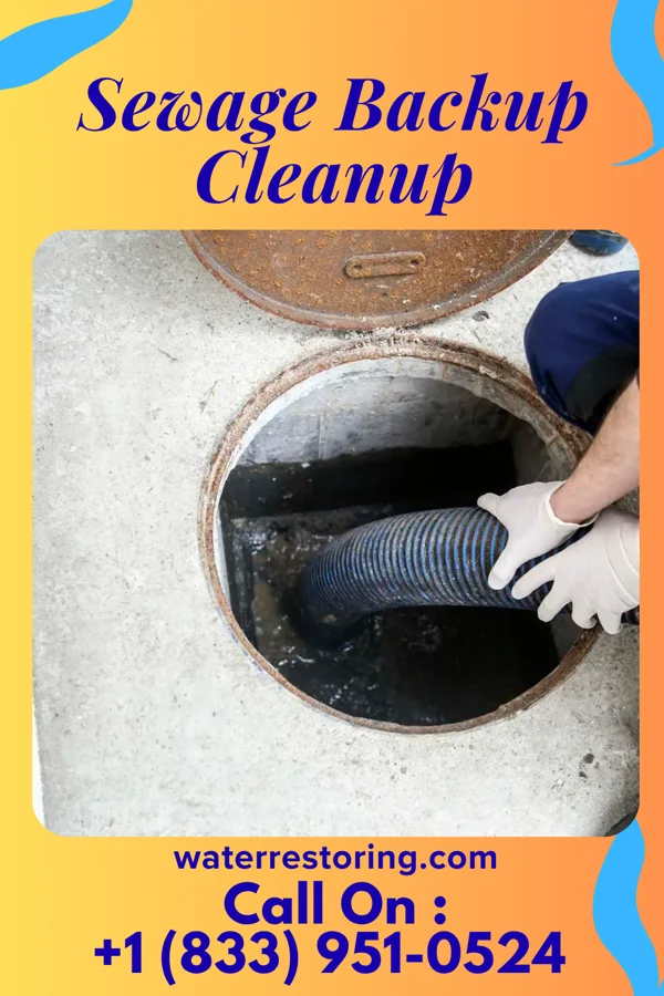 Sewage Backup Cleanup in Newburgh, IN